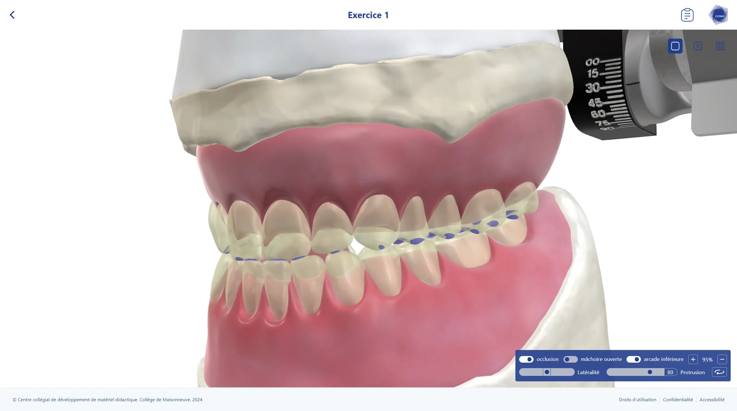 Réglage de l'articulateur dans la scène 3D