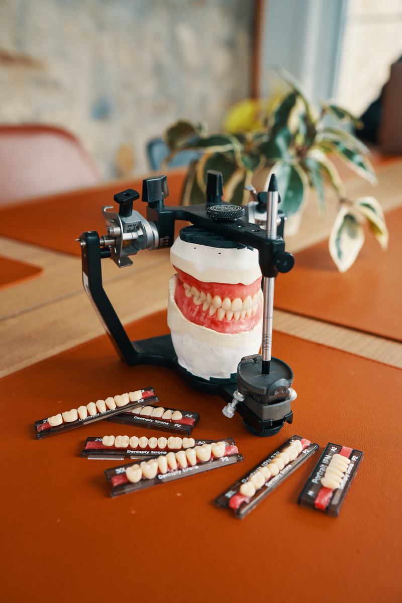 Articulateur dentaire Hanau avec un modèle de prothèse et des dents de démonstration