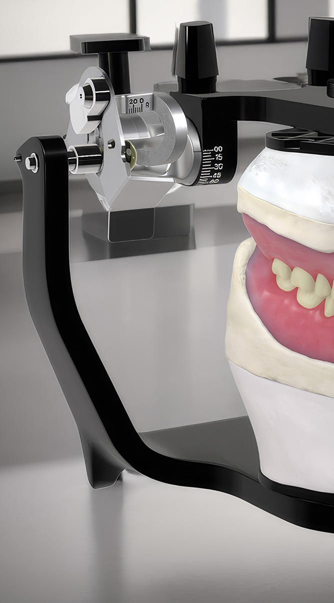 Détail du modèle 3D de l'articulateur Hanau