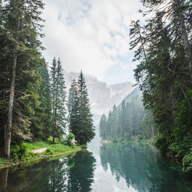 Un lac entouré de forêt de conifères — un milieu naturel protégé