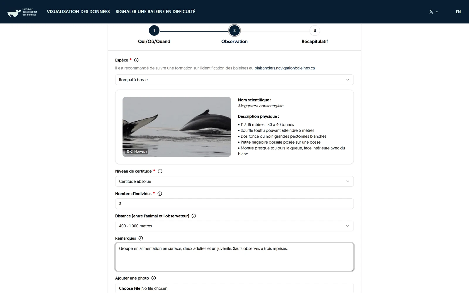 Deuxième étape du formulaire de Vigie marine : sélection de l'espèce observée, niveau de certitude, nombre d'individus, distance et photo